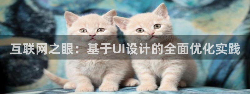 辉达娱乐官网
