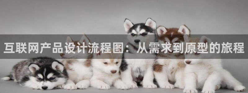 辉达娱乐丿75505