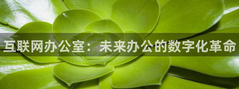 辉达平台娱乐怎么样