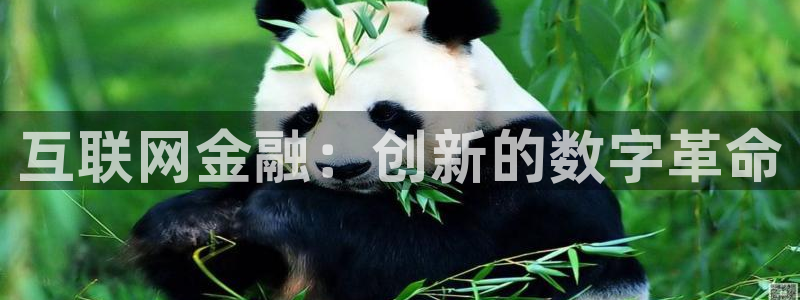 辉达娱乐官方网址