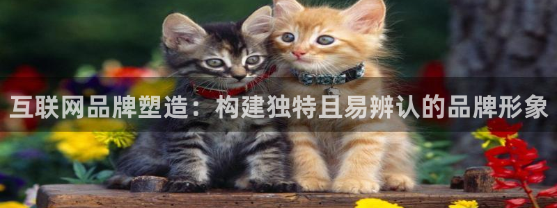 辉达娱乐平台