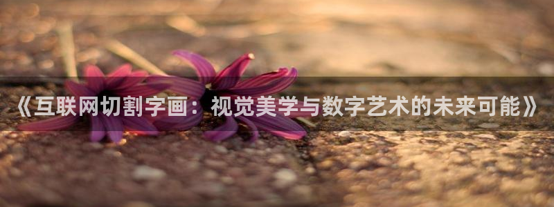 辉达娱乐珈75775