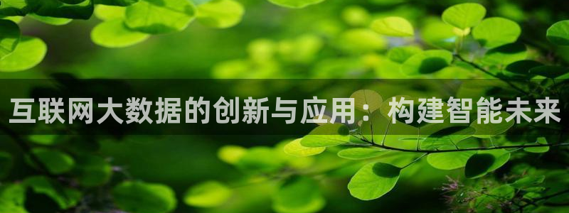 辉达娱乐丶75505