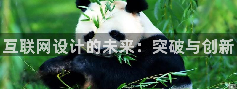 辉达娱乐计划软件