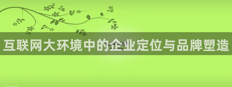 辉达娱乐属于什么档次
