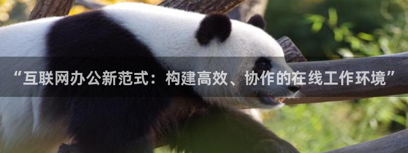 辉达娱乐彳75775
