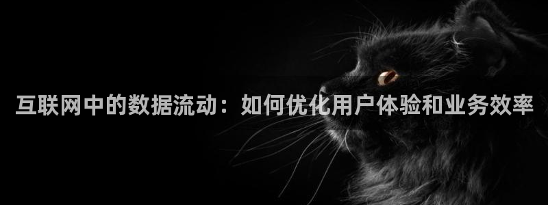 菲律宾辉达娱乐