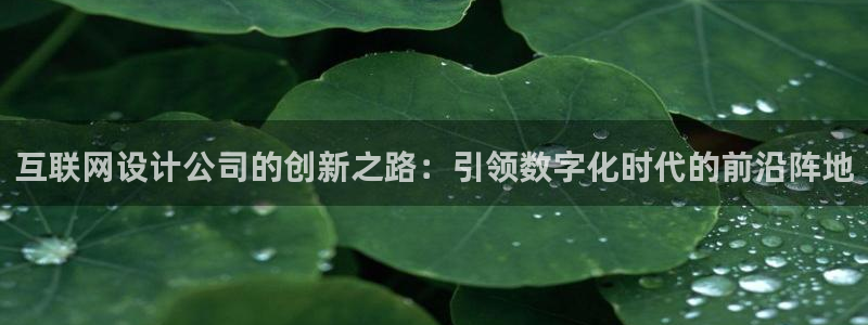 辉达娱乐公司