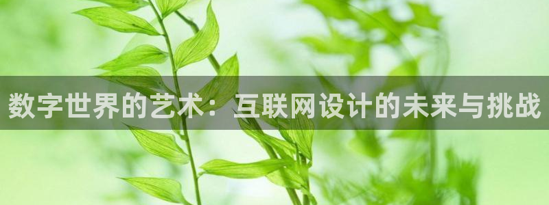 辉达娱乐丿39444