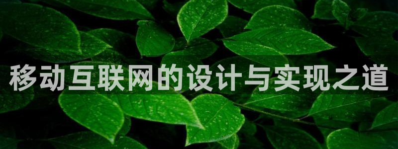 辉达平台娱乐怎么样