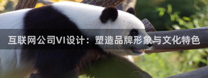 辉达娱乐加扣75775