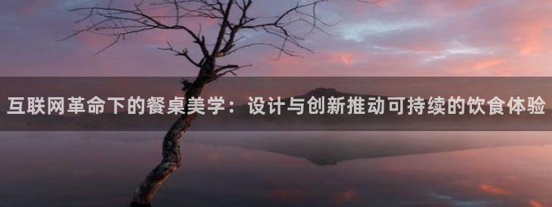 辉达娱乐公司