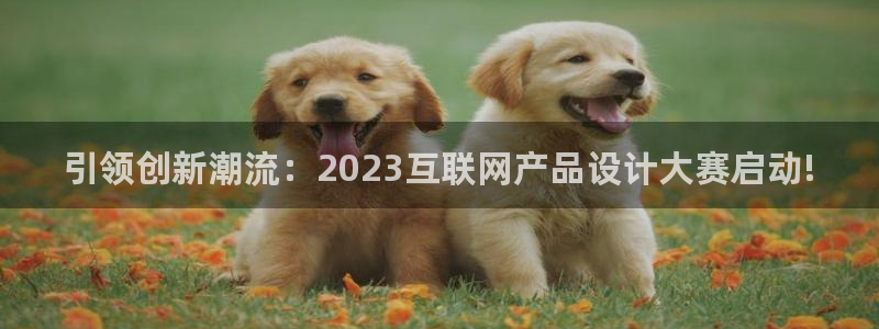 信誉辉达娱乐开户注册