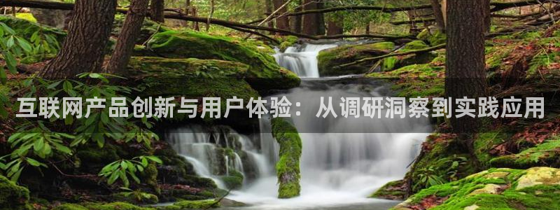 辉达娱乐体彩
