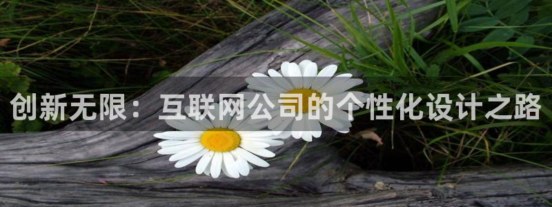 辉达平台官网下载：创新无限：互