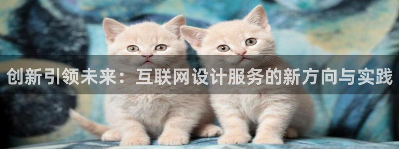 信誉辉达娱乐平台：创新引领未来