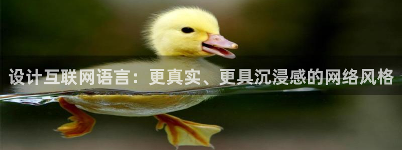 辉达娱乐平台：设计互联网语言：