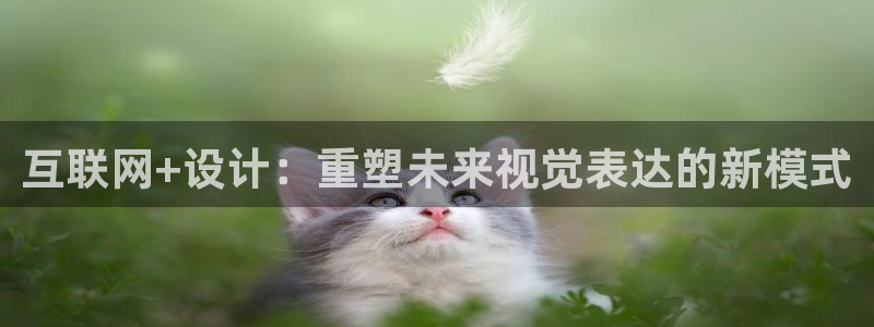 菲律宾辉达娱乐：互联网+设计：