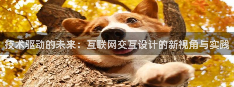 辉达娱乐时时彩平台