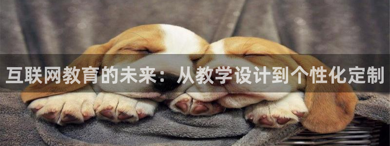 辉达娱乐网址：互联网教育的未来