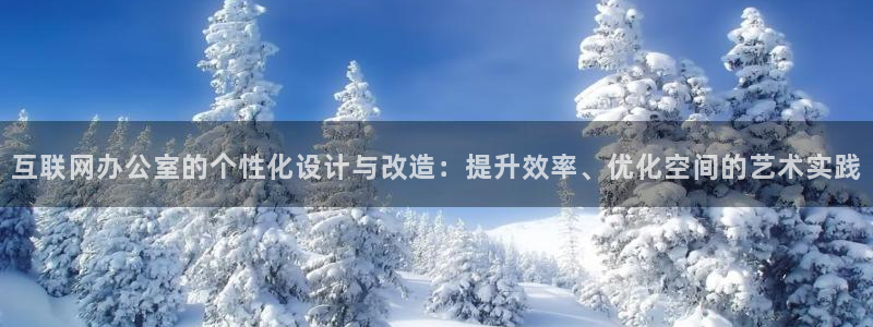 辉达娱乐公司