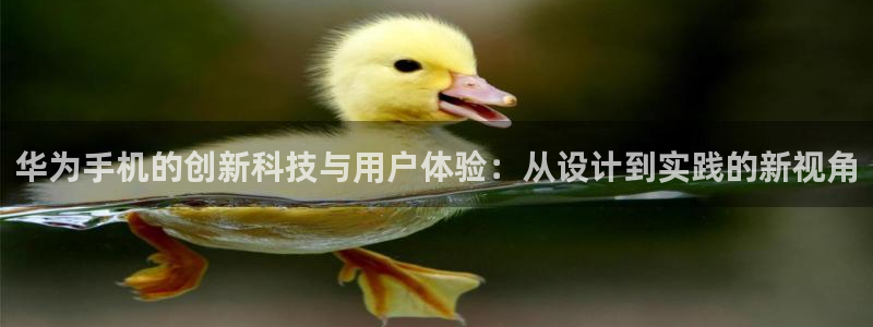 辉达平台注册官方网站入口