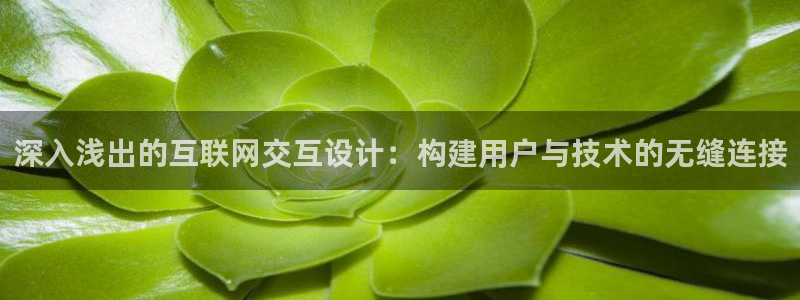 信誉辉达娱乐在线游戏