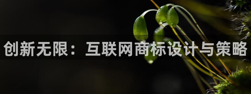 辉达娱乐重庆时时彩