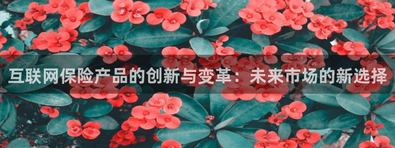 辉达娱乐丨39444