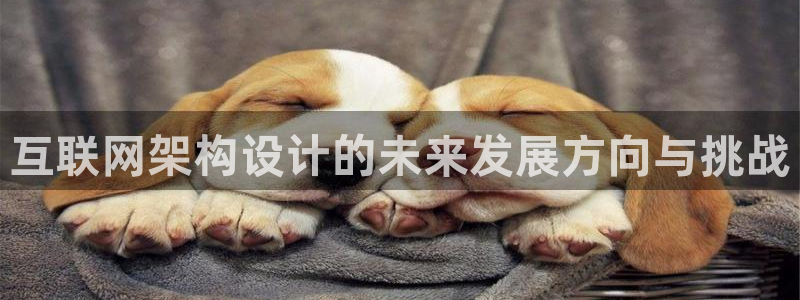 辉达娱乐时时彩平台