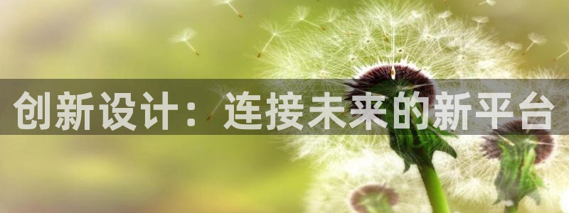 辉达娱乐待遇