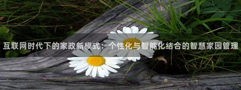 辉达娱乐电子