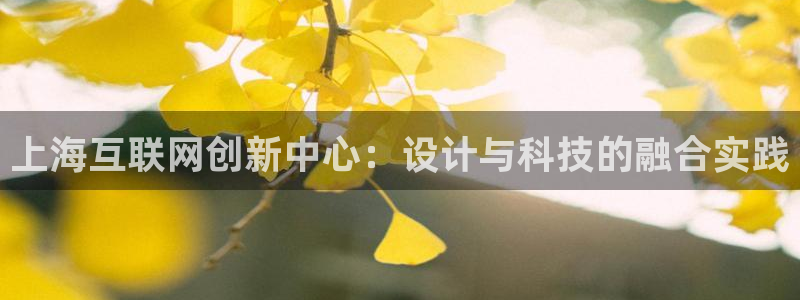 辉达娱乐网址