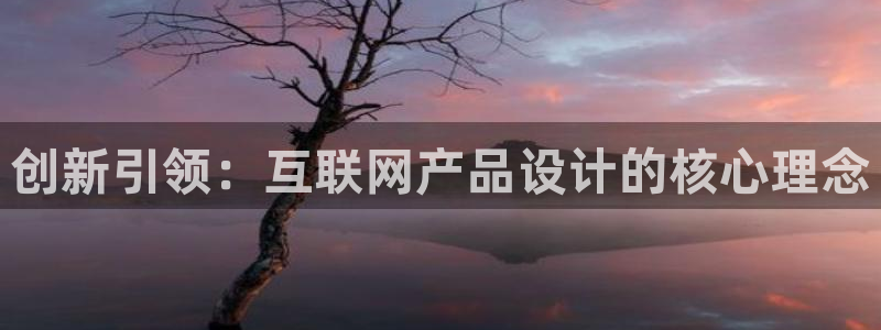 辉达娱乐123123：创新引领