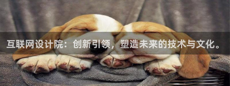 辉达娱乐最新消息新闻