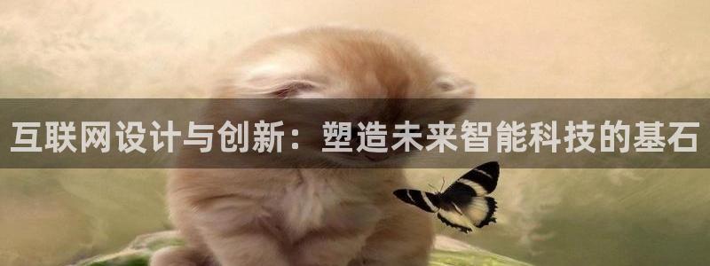 正规辉达娱乐平台：互联网设计与