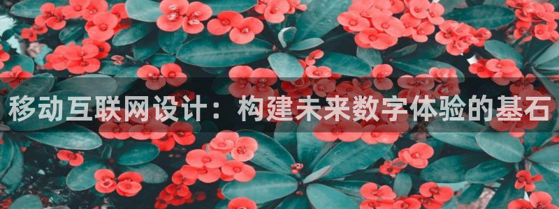 辉达娱乐检测
