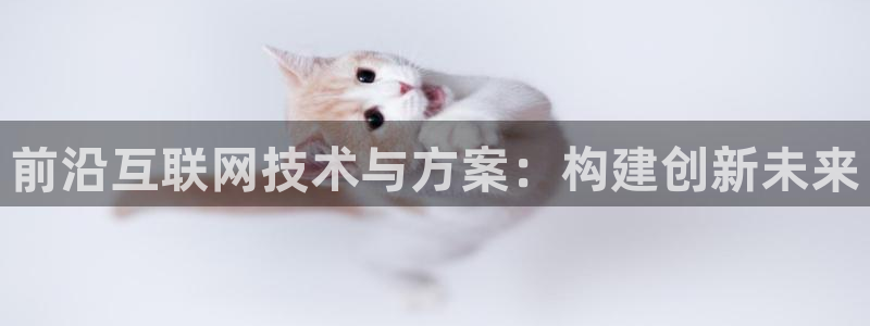 辉达娱乐电子