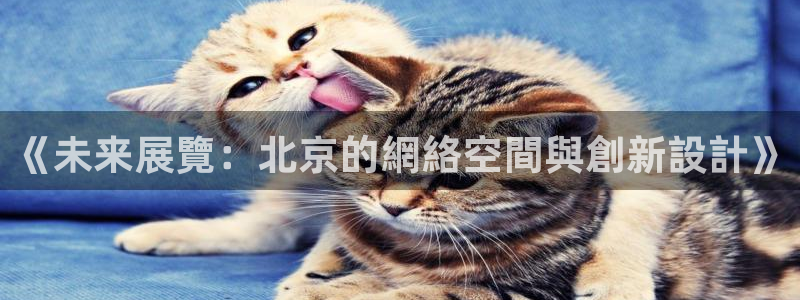 辉达娱乐正规吗