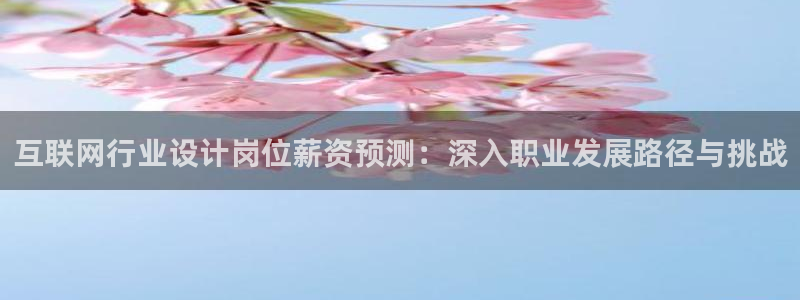 辉达娱乐属于什么档次