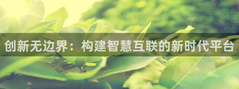 辉达娱乐线路检测