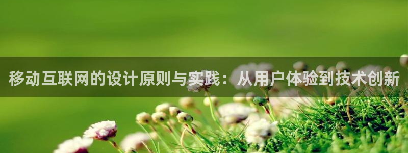 辉达娱乐己39444