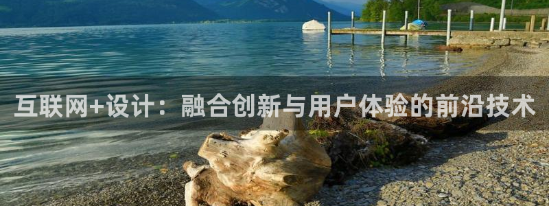 龙腾辉达电子娱乐