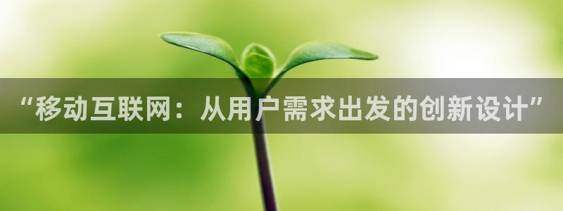 辉达娱乐待遇