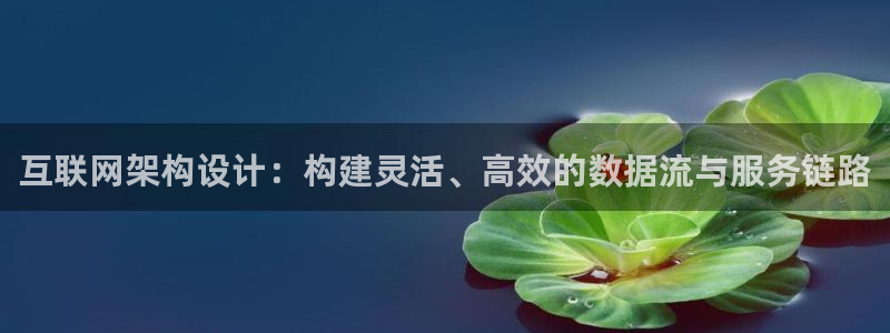 辉达娱乐分红：互联网架构设计：