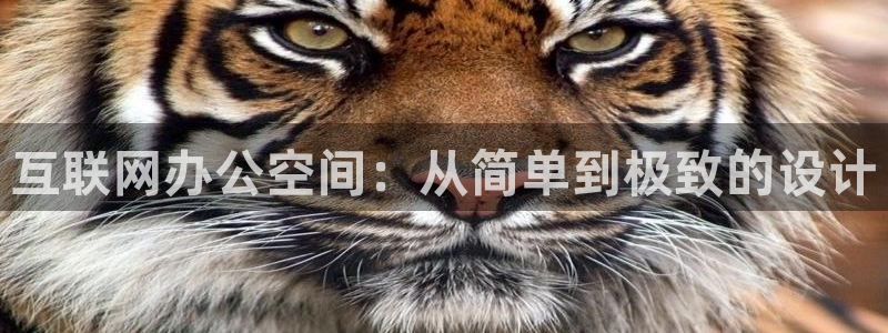辉达娱乐 75505：互联网办