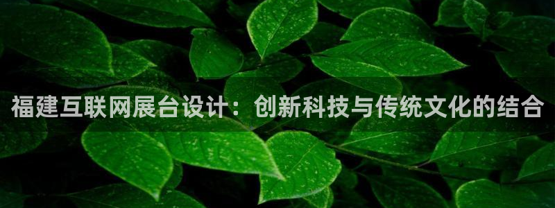 辉达平台注册资金多少：福建互联
