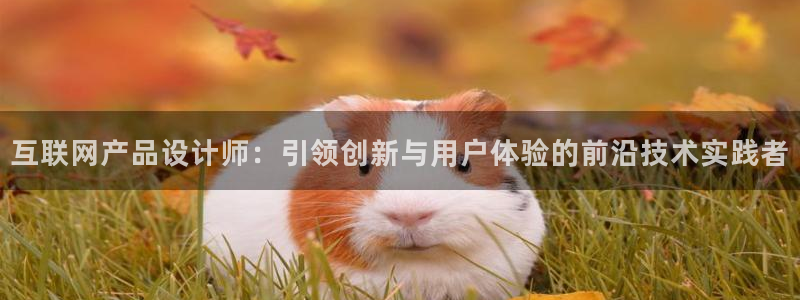 辉达娱乐电子游艺