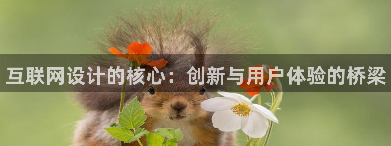 正规辉达娱乐在线游戏