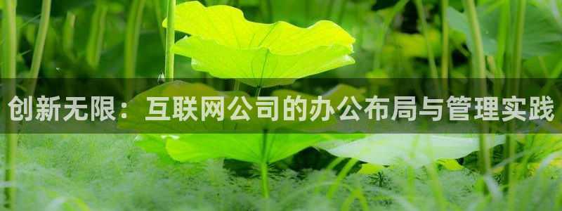 代理辉达娱乐平台